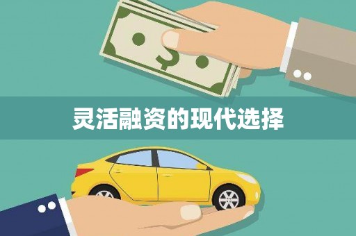 蓬溪灵活融资的现代选择
